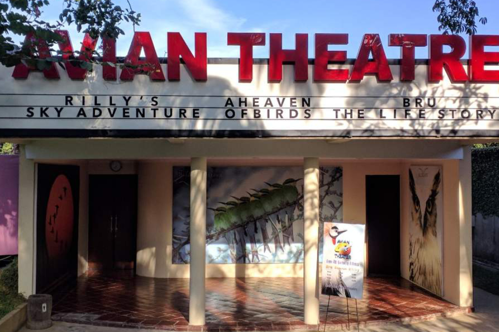 Bali Bird Park Ticket - Image 5 of 5