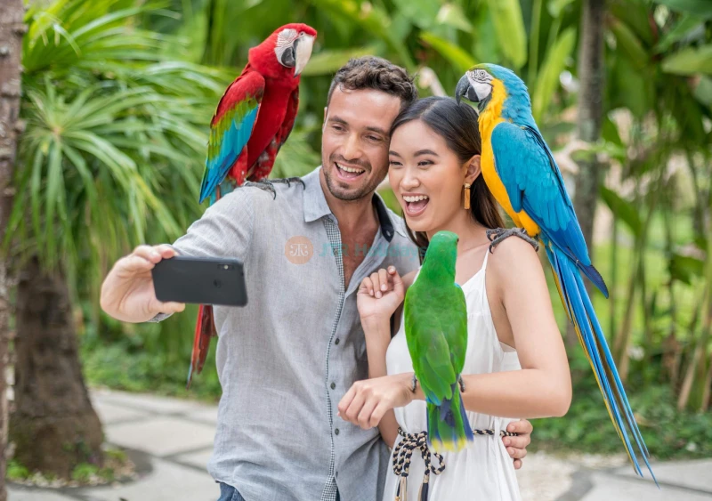 Biglietto Bali Bird Park