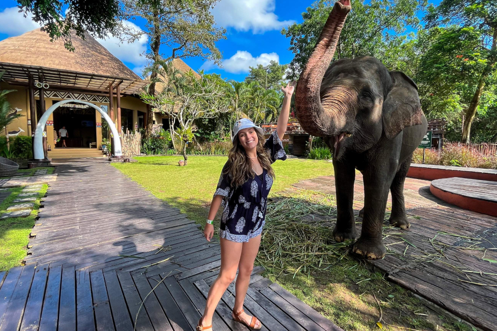 Billet pour le Parc Safari de Bali - Image 2 of 7