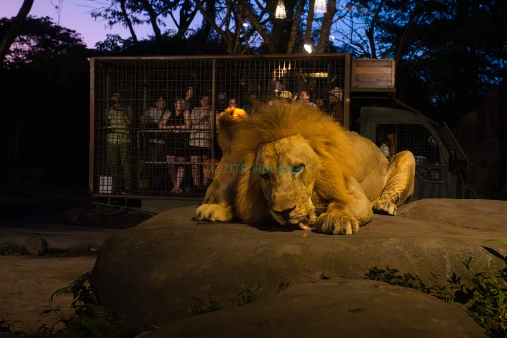 Bali Safari Park Gianyar Wildlife Adventure - JTR Holidays