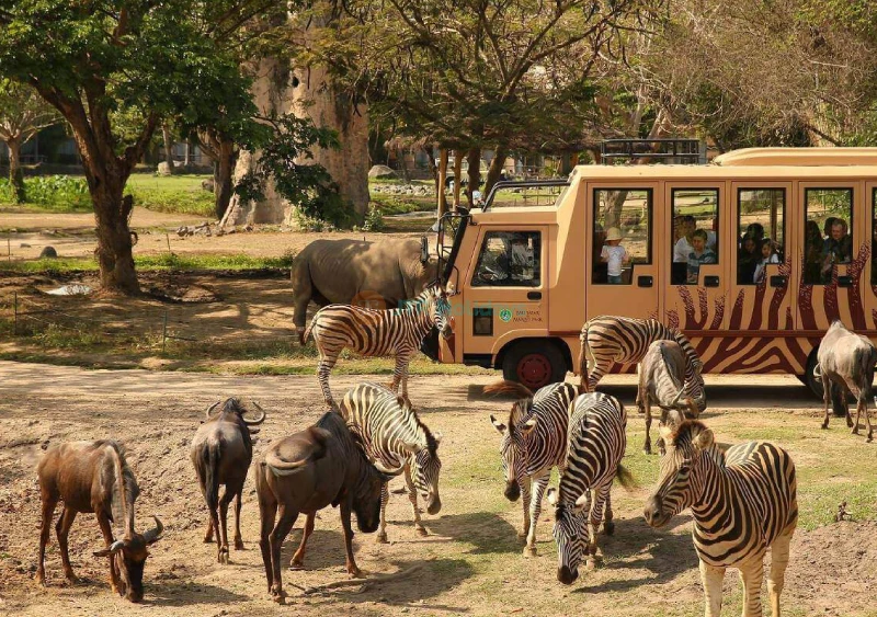 Bali Safari Park Ticket