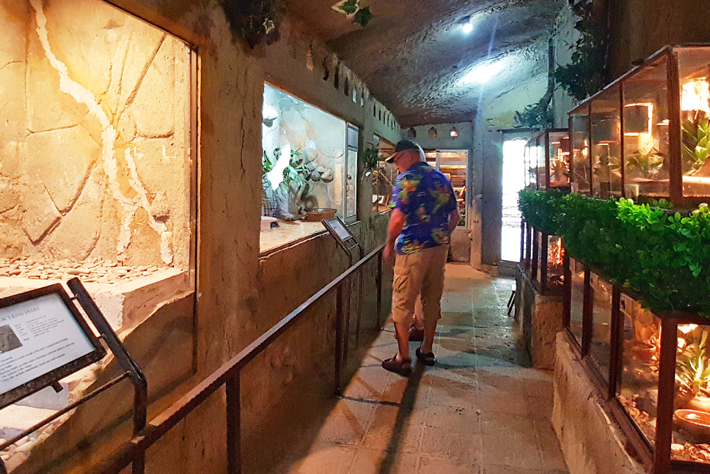 Ticket für Bali Reptile Park - Image 3 of 6