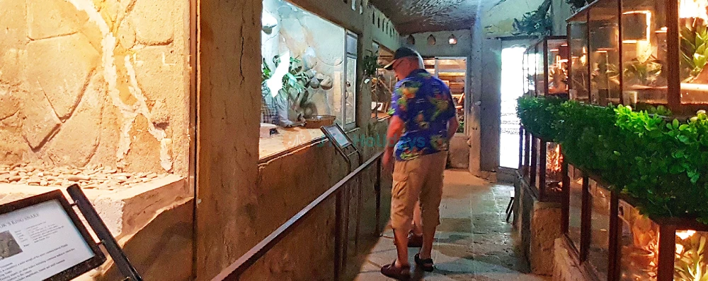 Bali Reptile Park Ticket - Image 3 of 5