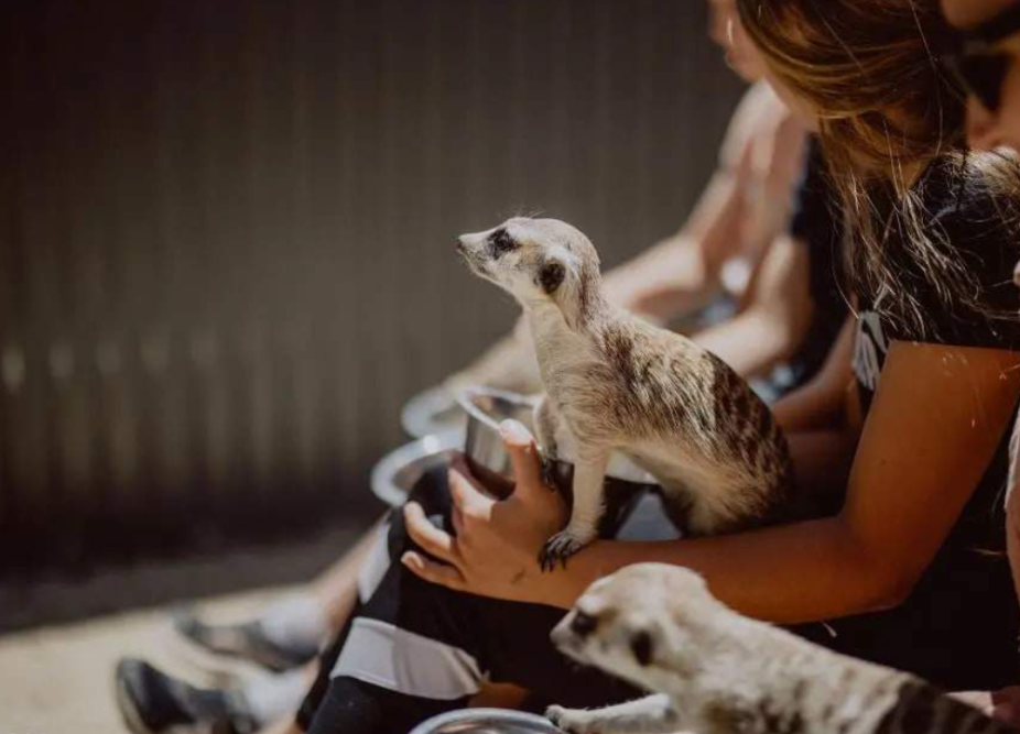 Hunter Valley Wildlife Park Ticket - Image 1 of 6