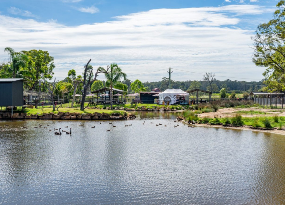 Hunter Valley Wildlife Park Ticket - Explore Australia’s unique wildlife at Hunter Valley Wildlife Park. Book your tickets online to meet kangaroos, koalas, lions, and exotic birds in a family friendly setting. Enjoy hands on animal encounters and educational experiences just minutes from Hunter Valley vineyards. Don’t miss this top wildlife attraction in New South Wales. Hunter Valley Wildlife Park Ticket - Image 4 of 5