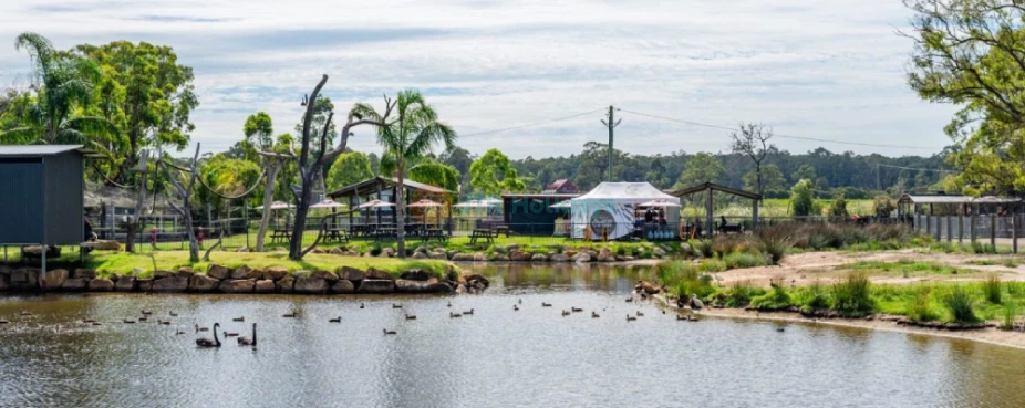 Hunter Valley Wildlife Park Ticket - Image 4 of 5