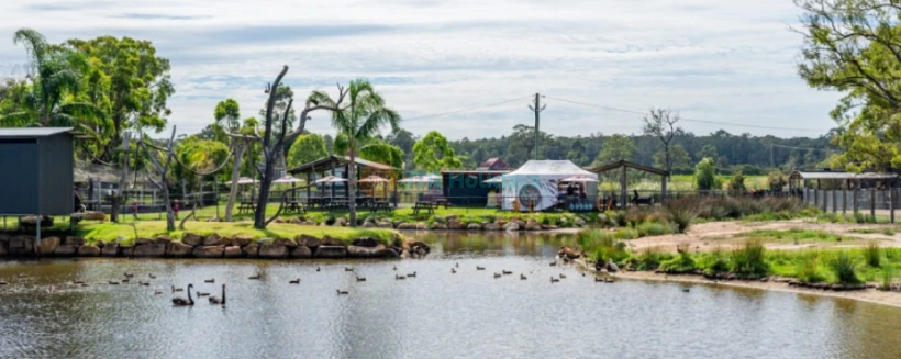 Hunter Valley Wildlife Park Ticket - Entdecken Sie Australiens einzigartige Tierwelt im Hunter Valley Wildlife Park. Buchen Sie Ihre Tickets online, um Kängurus, Koalas, Löwen und exotische Vögel in einer familienfreundlichen Umgebung zu treffen. Genießen Sie praktische Tierbegegnungen und lehrreiche Erlebnisse nur wenige Minuten von den Weinbergen des Hunter Valley entfernt. Verpassen Sie nicht diese erstklassige Tierattraktion in New South Wales. Hunter Valley Wildlife Park Ticket - Bild 4 von 5