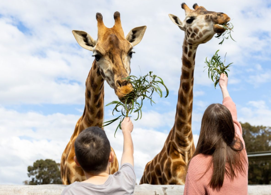 Hunter Valley Wildlife Park Ticket - Image 6 of 6