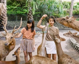 Bali Zoo Tickets Gianyar Wildlife Park - JTR Holidays