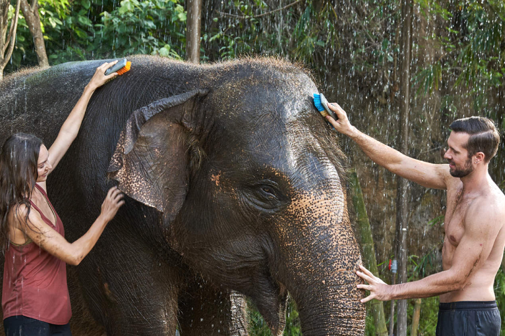 Bali Zoo Ticket - Image 3 of 5