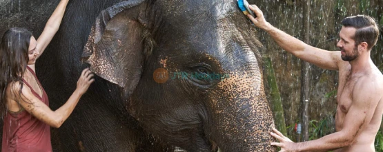 Bali Zoo Tickets Gianyar Wildlife Park - JTR Holidays