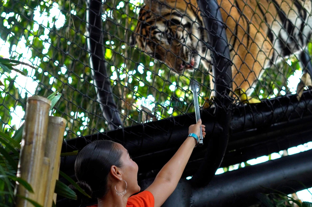Bali Zoo Tickets Gianyar Wildlife Park - JTR Holidays