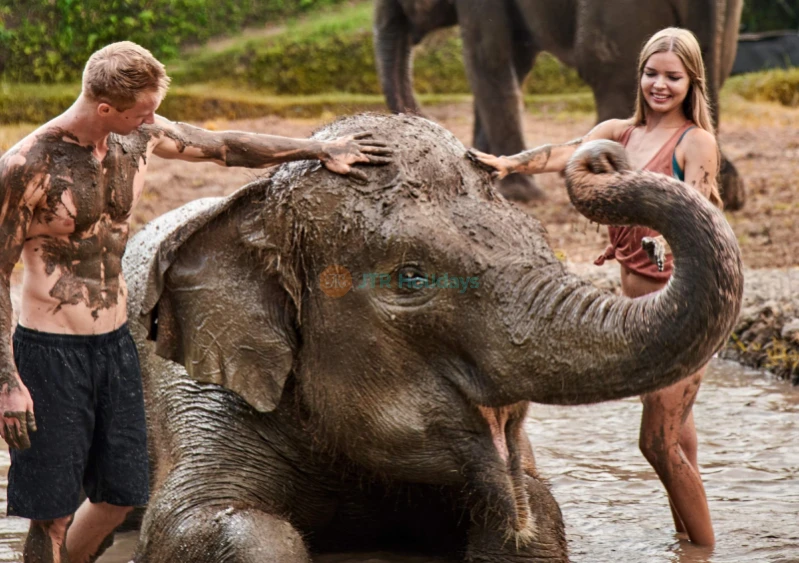 Biglietto Bali Zoo