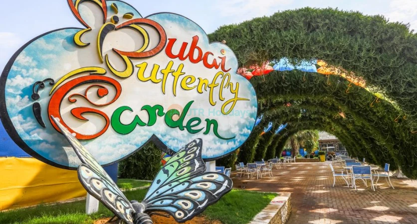 Dubai Butterfly Garden - Home to over 15,000 butterflies.