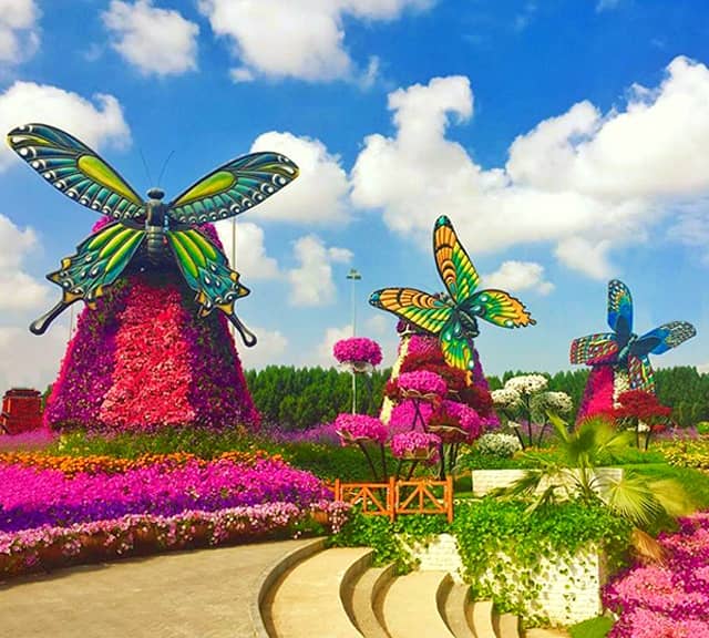Jardin des Papillons de Dubaï - Image 2 sur 5