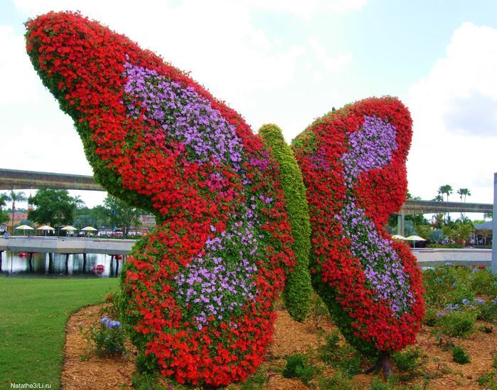 Jardin des Papillons de Dubaï - Image 5 sur 5