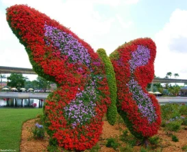 Dubai Butterfly Garden - Home to over 15,000 butterflies.