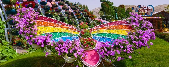 Dubai Butterfly Garden - Home to over 15,000 butterflies.