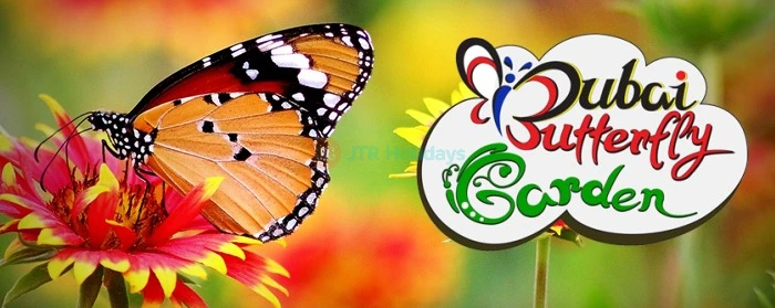 Butterfly Garden Dubai - Image 4 of 5