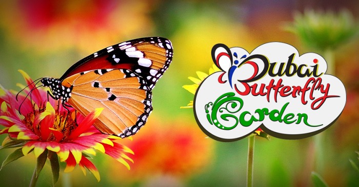 Butterfly Garden Dubai - Step into Dubai Butterfly Garden, the world’s largest covered butterfly park with over 15,000 butterflies from 45 species. Explore themed domes, enjoy family-friendly exhibits, and discover the magical life cycle of butterflies. Butterfly Garden Dubai - Image 4 of 5