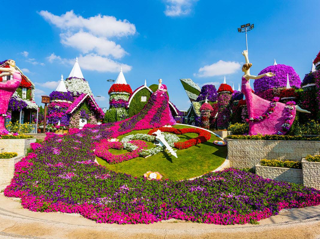 Miracle Garden Dubai - Miracle Garden Dubai is the world's largest natural flower garden which occupies over 72,000 Metres, location, timings, tickets Price entry fee, opening months. The beauty of Dubai is that you can find the attraction of your choice. If you feel hectic from the hustle and bustle of the city make your way to the miracle garden. Miracle Garden Dubai - Image 2 of 5