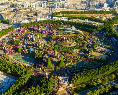 Miracle Garden Dubai - Image 5 of 5