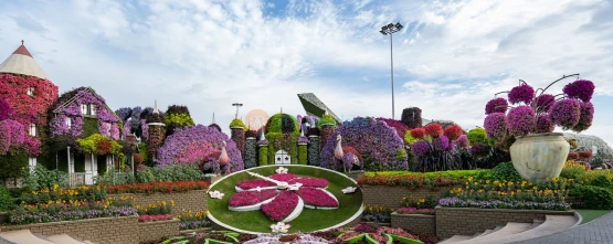 Miracle Garden Dubai - Timings , Tickets Price Entry Fee | JTR Holidays