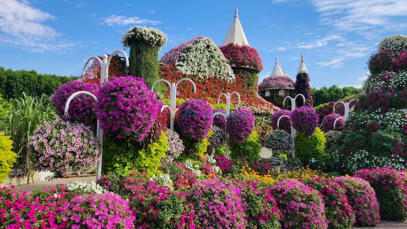 Miracle Garden Dubai