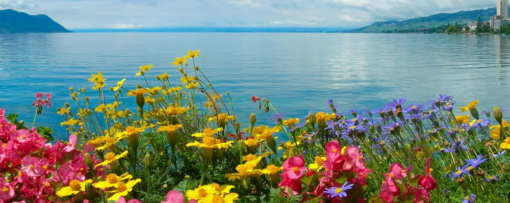 French and Swiss Spirit Tour – 7 Nights 8 Days | Paris to Switzerland Package - JTR Holidays - Imagen 3 de 5