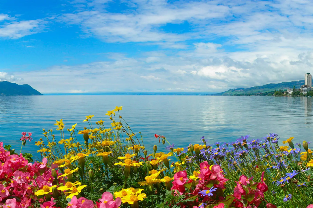 جولة الروح الفرنسية والسويسرية – 7 ليالي و8 أيام | باقة من باريس إلى سويسرا - جي تي آر هوليديز - Image 3 of 7