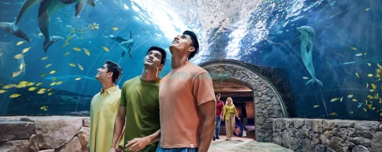 Yas Island Stay With Park Tickets Play And Stay Package - undefined Nights undefined Days