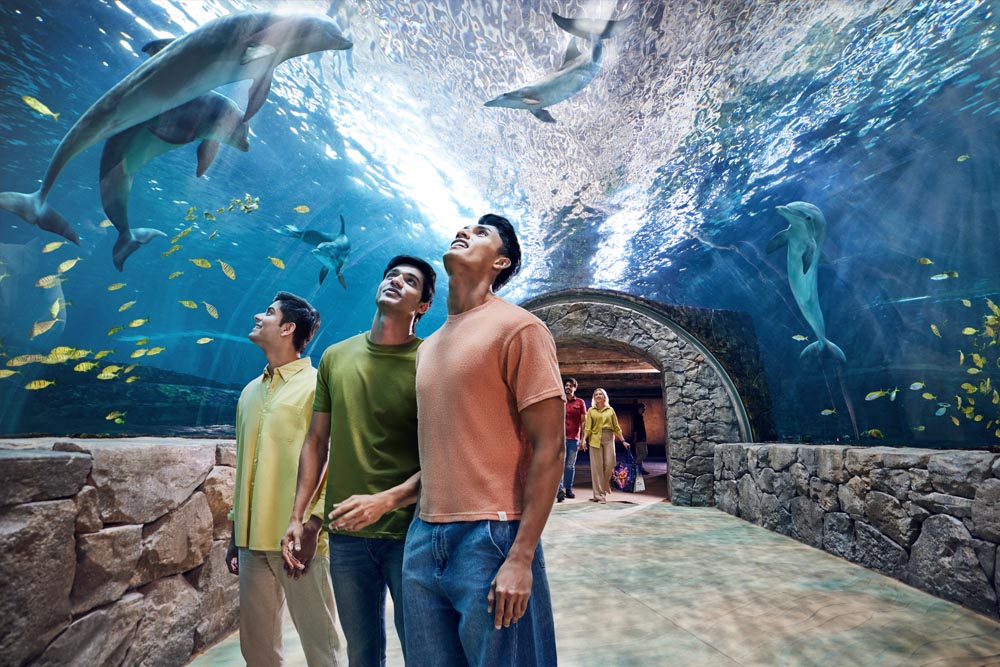 Yas Island Stay with Park Tickets - Play & Stay Offer Yas Island Abu Dhabi - JTR Holidays - Image 4 of 12