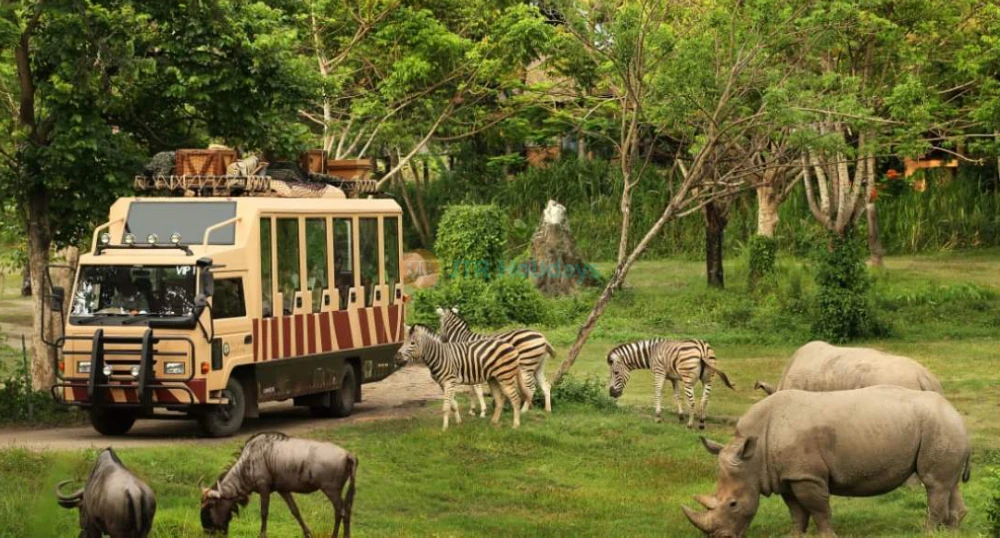 Billet pour le Parc Safari de Bali - Découvrez le Parc Safari de Bali, la principale destination animalière de Gianyar proposant des safaris guidés, des rencontres avec les éléphants et l'observation des dragons de Komodo. Explorez l'aquarium d'eau douce, assistez aux spectacles quotidiens d'animaux et vivez le palpitant Safari Nocturne en tram. Réservez votre billet coupe-file pour le Parc Safari de Bali dès aujourd'hui. Billet pour le Parc Safari de Bali - Image 1 sur 5