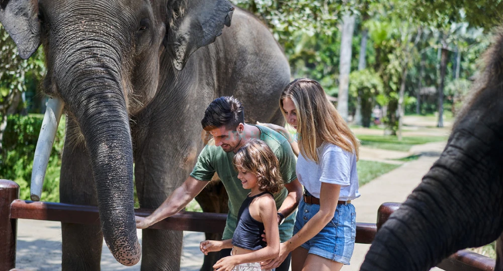 Mason Elephant Safari Park Bali - Image 1 of 5