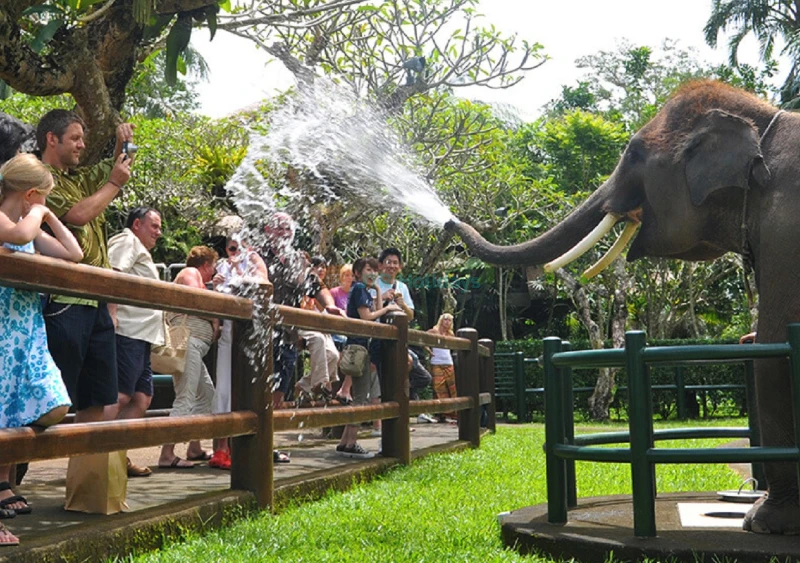 Mason Elephant Safari Park Bali