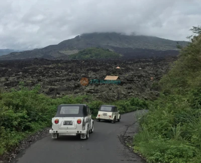 Mount Batur Volkswagen Safari Tour - Entdecken Sie das ultimative Bali Offroad-Abenteuer mit unserer Mount Batur Volkswagen Safari Tour. Fahren Sie über vulkanische Lavafelder in einem vintage VW-Jeep, erleben Sie einen atemberaubenden Sonnenaufgang am Mount Batur über dem Kratersee, erkunden Sie dramatische schwarze Lavalandschaften und tauchen Sie ein in eine Bali-Kaffeepflanzen-Tour, bei der Sie traditionelle Kaffeeanbauweisen kennenlernen. Genießen Sie komfortable Hin- und Rücktransfers zum Hotel, kleine Gruppengrößen und fachkundige lokale Guides. Buchen Sie noch heute Ihre Bali Vulkan-Jeep-Safari für ein einzigartiges VW-Safari Bali Erlebnis, das Vintage-Charme und natürliche Schönheit verbindet. Mount Batur Volkswagen Safari Tour - Bild 2 von 5