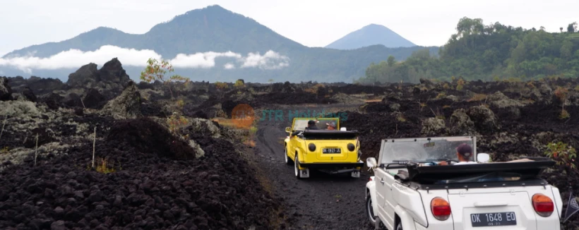Mount Batur Volkswagen Safari Tour - Entdecken Sie das ultimative Bali Offroad-Abenteuer mit unserer Mount Batur Volkswagen Safari Tour. Fahren Sie über vulkanische Lavafelder in einem vintage VW-Jeep, erleben Sie einen atemberaubenden Sonnenaufgang am Mount Batur über dem Kratersee, erkunden Sie dramatische schwarze Lavalandschaften und tauchen Sie ein in eine Bali-Kaffeepflanzen-Tour, bei der Sie traditionelle Kaffeeanbauweisen kennenlernen. Genießen Sie komfortable Hin- und Rücktransfers zum Hotel, kleine Gruppengrößen und fachkundige lokale Guides. Buchen Sie noch heute Ihre Bali Vulkan-Jeep-Safari für ein einzigartiges VW-Safari Bali Erlebnis, das Vintage-Charme und natürliche Schönheit verbindet. Mount Batur Volkswagen Safari Tour - Bild 3 von 5
