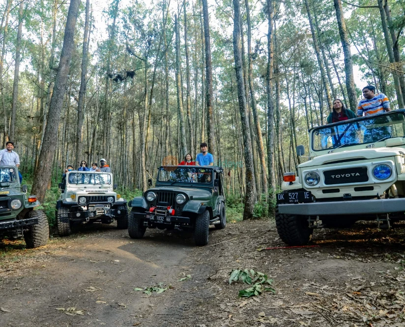 Экскурсия на джипе 4WD на гору Батур на Бали - Image 2 of 9