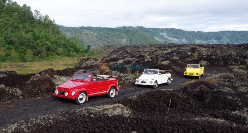 Kintamani Volkswagen Safari Tour Vintage Bali Volcano tour - JTR Holidays