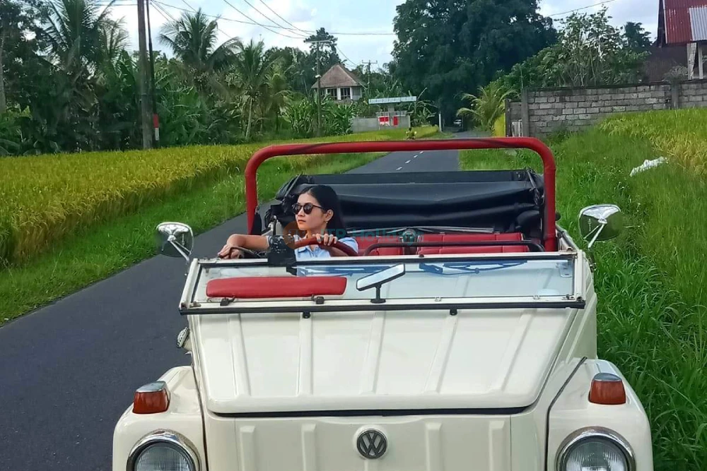 Kintamani Volkswagen Safari Tour Vintage Bali Volcano tour - JTR Holidays