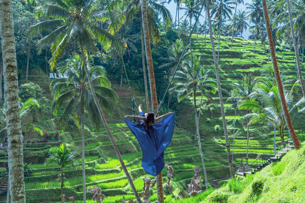 阿拉斯哈鲁摆荡、天空单车及滑索巴厘岛 - Image 2 of 9