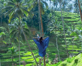 Alas Harum Bali Swing, Skybike & Zipline Adventure - JTR Holidays