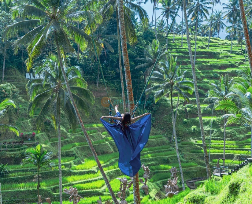 ألاس هاروم أرجوحة، دراجة معلقة وانزلاق بالحبل بالي - صورة 2 من 5