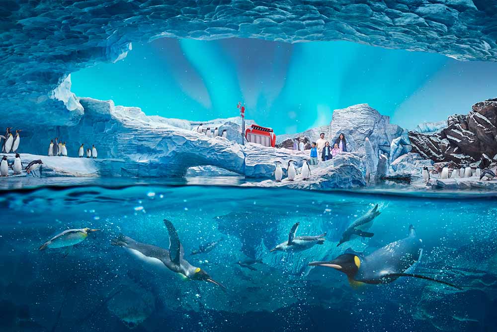Seaworld Abu Dhabi con boleto de traslado gratuito - ¡Descubre SeaWorld Abu Dhabi en la Isla Yas! Obtén entradas electrónicas instantáneas para explorar ocho reinos únicos, vida marina increíble y atracciones de clase mundial. ¡Reserva tu visita ahora! Seaworld Abu Dhabi con boleto de traslado gratuito - Imagen 1 de 5