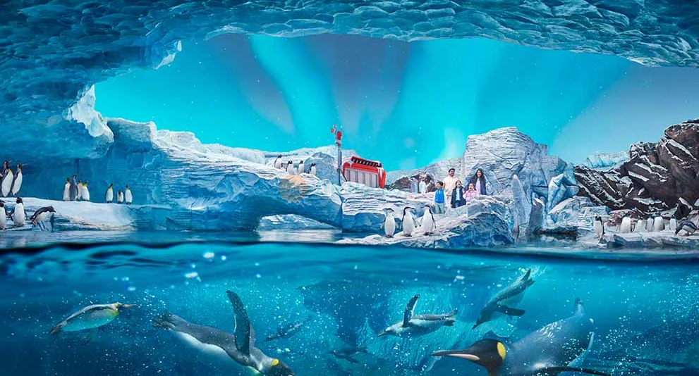 SeaWorld Abu Dhabi Tickets & Marine Life Attractions - Image 1 of 5