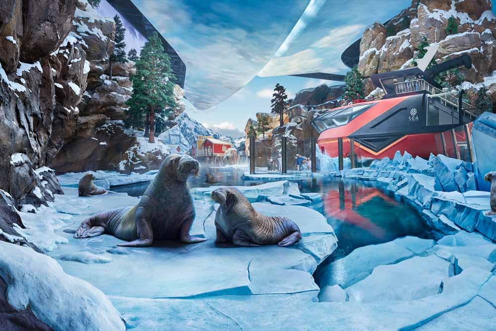 Seaworld Abu Dhabi with Free Shuttle Ticket - Image 2 of 5