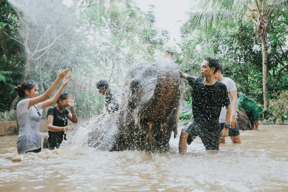 Parc animalier de Lombok - Image 3 sur 5