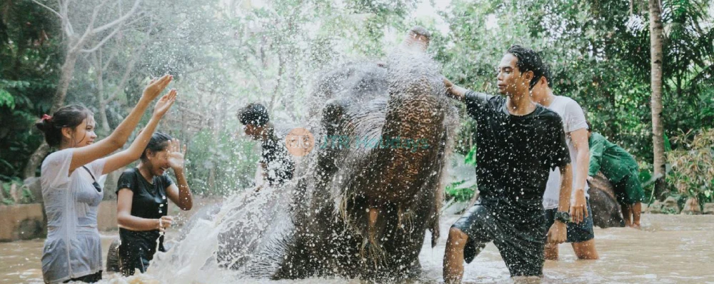Lombok Wildlife Park Premier Lombok Zoo - JTR Holidays - Image 3 of 5