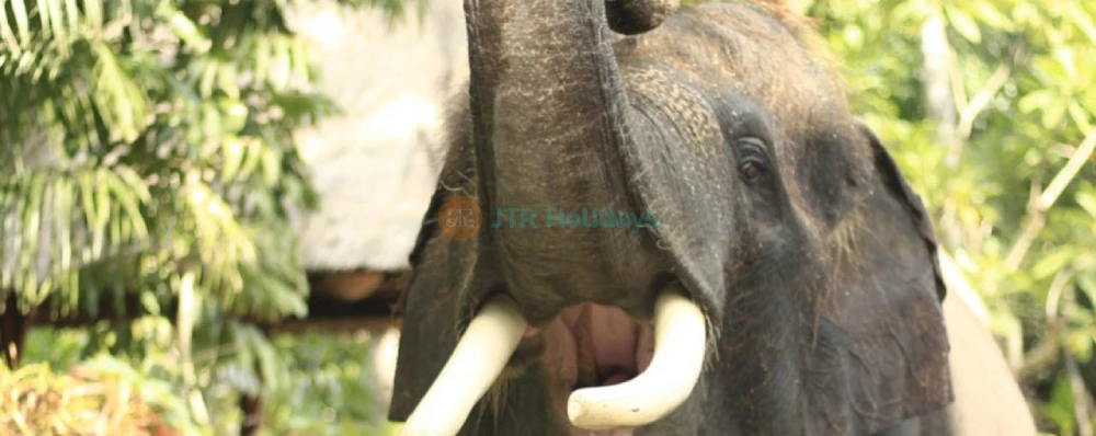 Lombok Wildlife Park Premier Lombok Zoo - JTR Holidays - Image 4 of 5