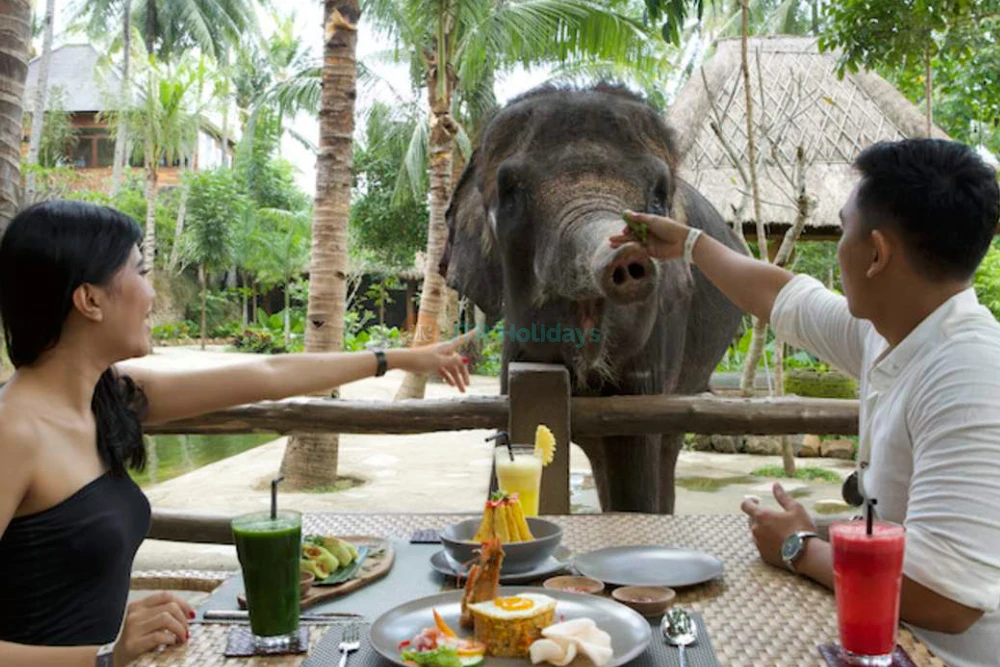 Lombok Wildlife Park Premier Lombok Zoo - JTR Holidays